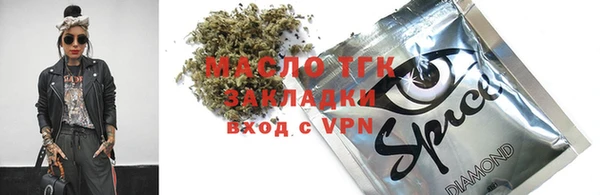 ECSTASY Алзамай