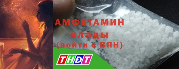 ECSTASY Алзамай