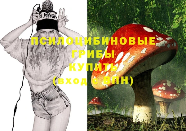 метамфетамин Алексин