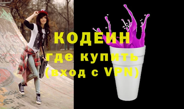 ECSTASY Алзамай