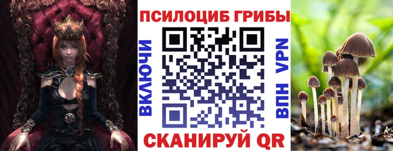 Галлюциногенные грибы Magic Shrooms  закладки  Краснослободск 